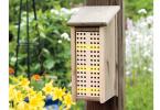 Attract bees to your yard with a bee box