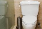 Replace your toilet with a water-efficient model